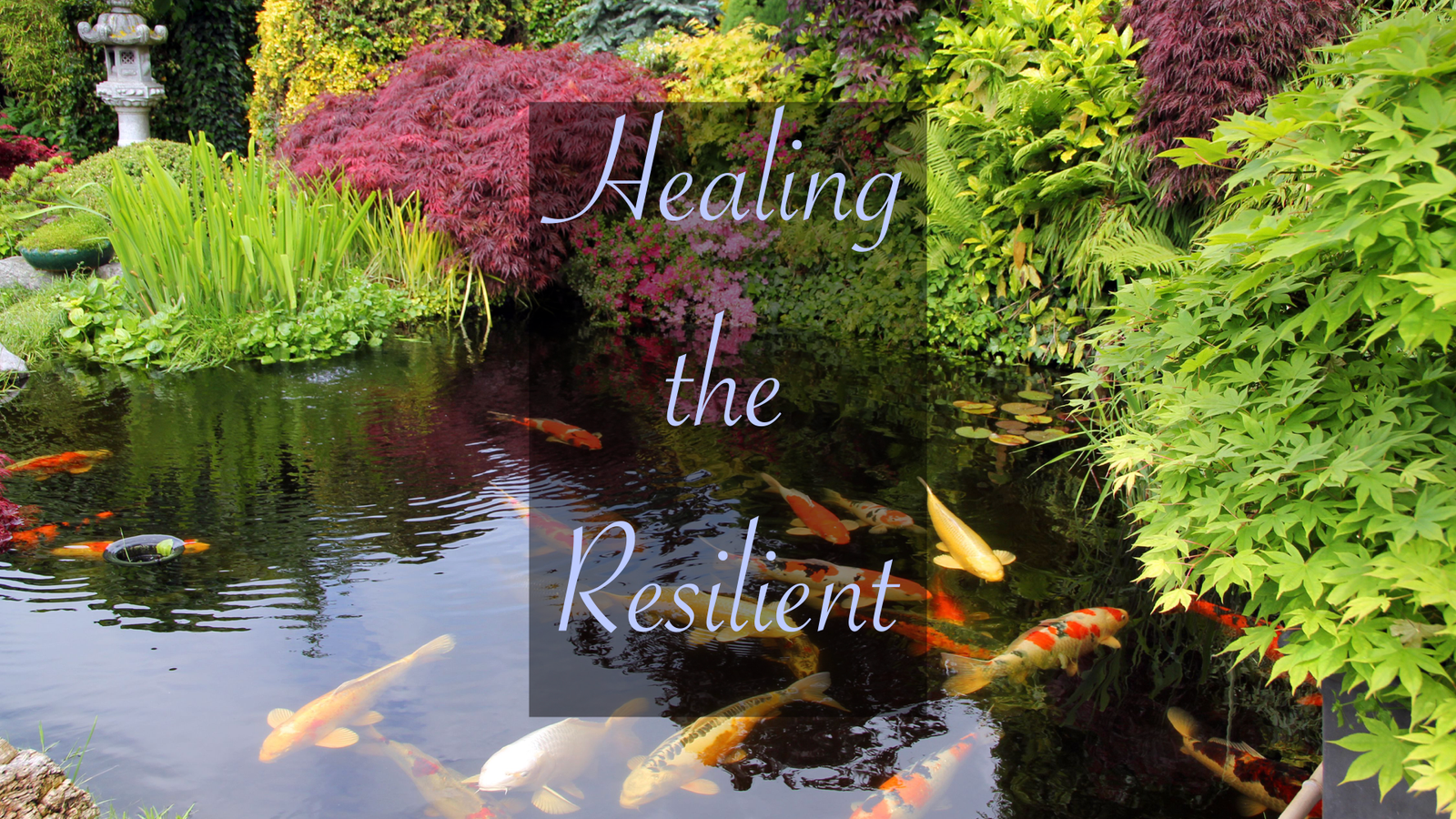 Healing the Resilient