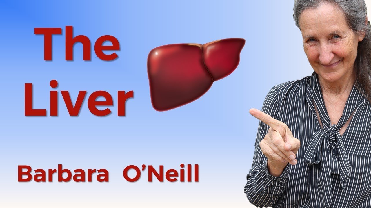 The Liver by Barbara O’Neill