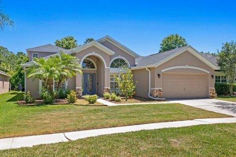 Under $300K!  Tampa, Florida