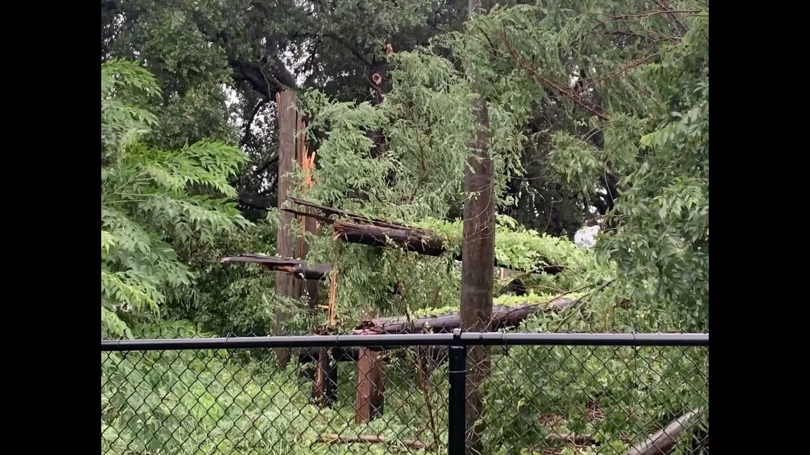 Man barely escapes tornado on foot!